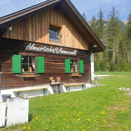 Ammerwald Alm 플란제 외부 사진