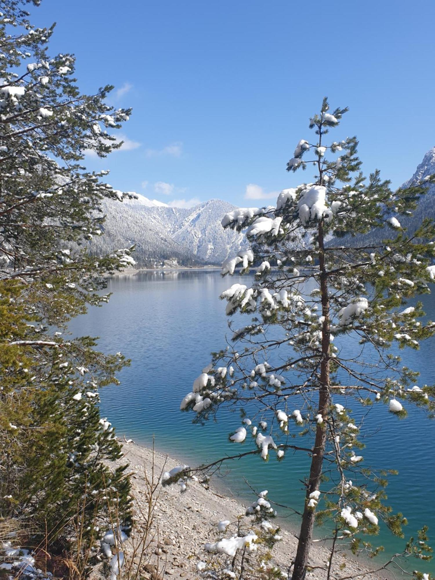 Ammerwald Alm 플란제 외부 사진
