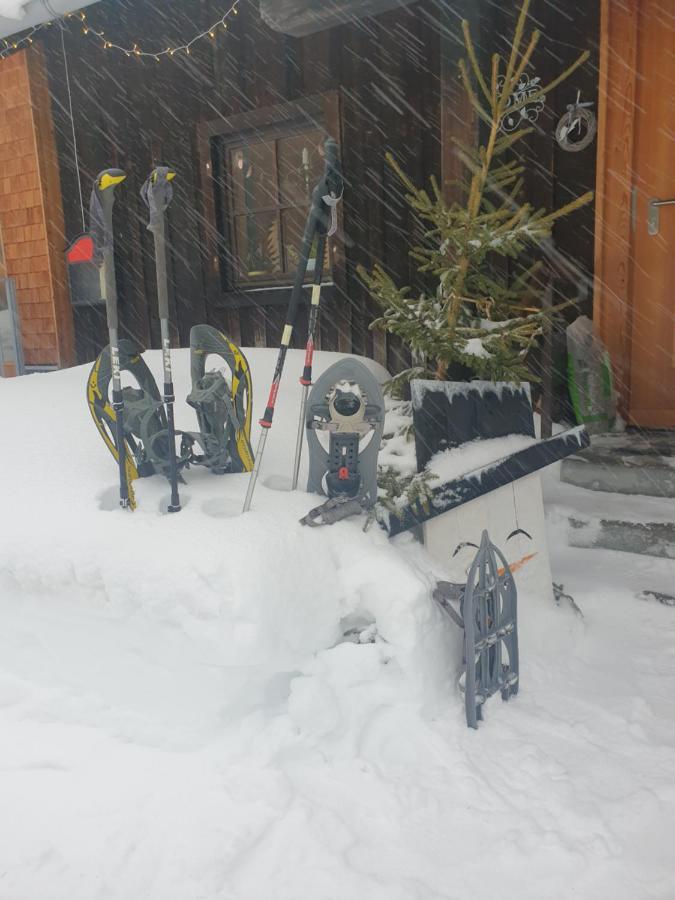 Ammerwald Alm 플란제 외부 사진